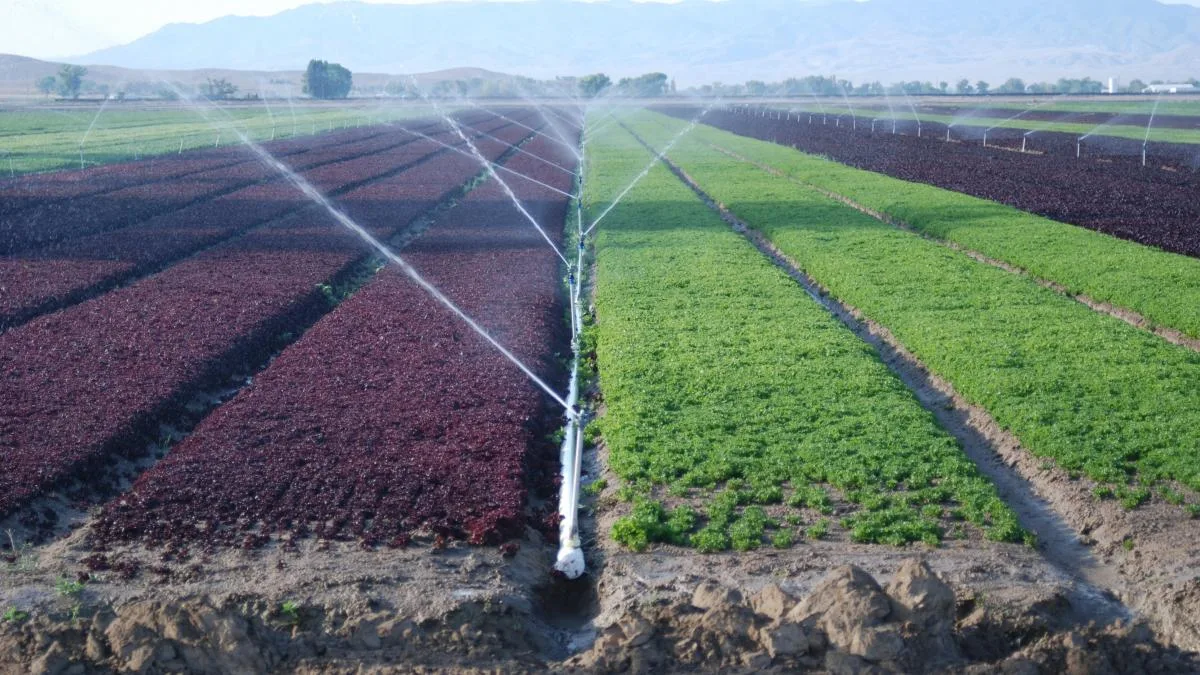 Agriculture & Irrigation